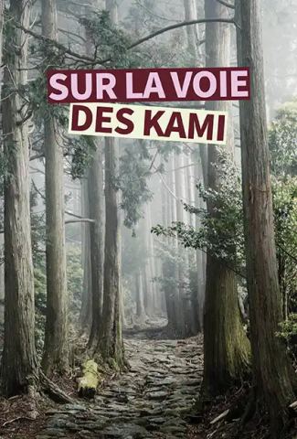 Poster: "Sur la voie des kami", photographies d'Eric Genillier, Maison Internationale de Grenoble, Nov 4