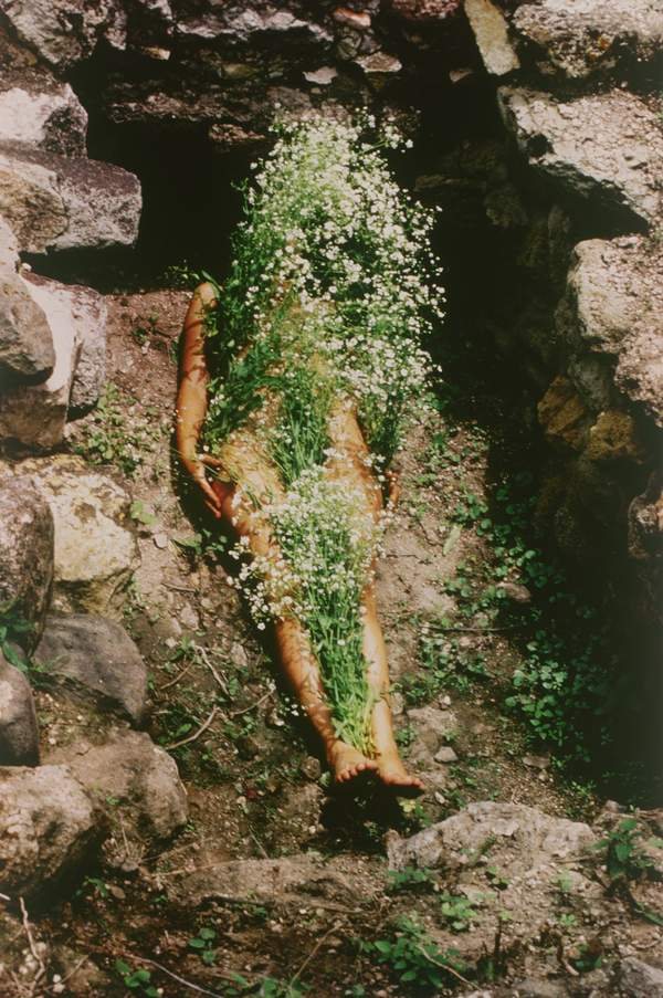 Poster: Ana Mendieta