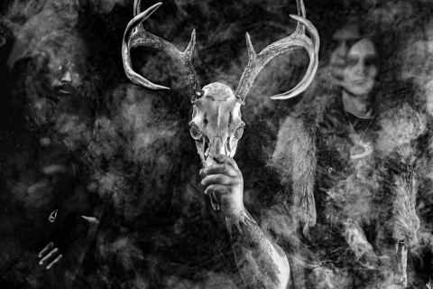 Plakat: Wolves in the Throne Room, Pumpehuset, 11. nov.
