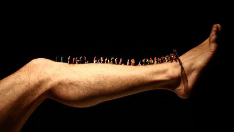Locandina: Invisible Lands, Teatro Franco Parenti, 28 ott