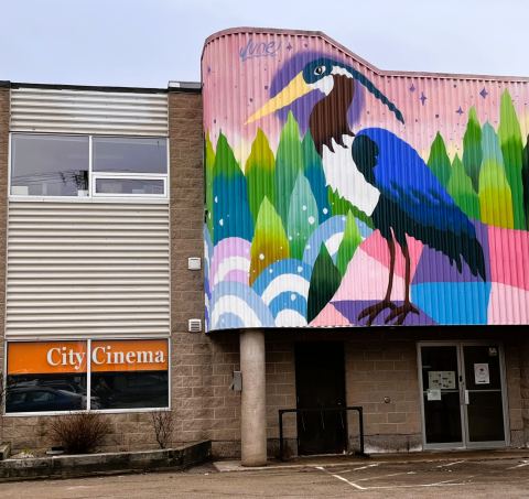 City Cinema