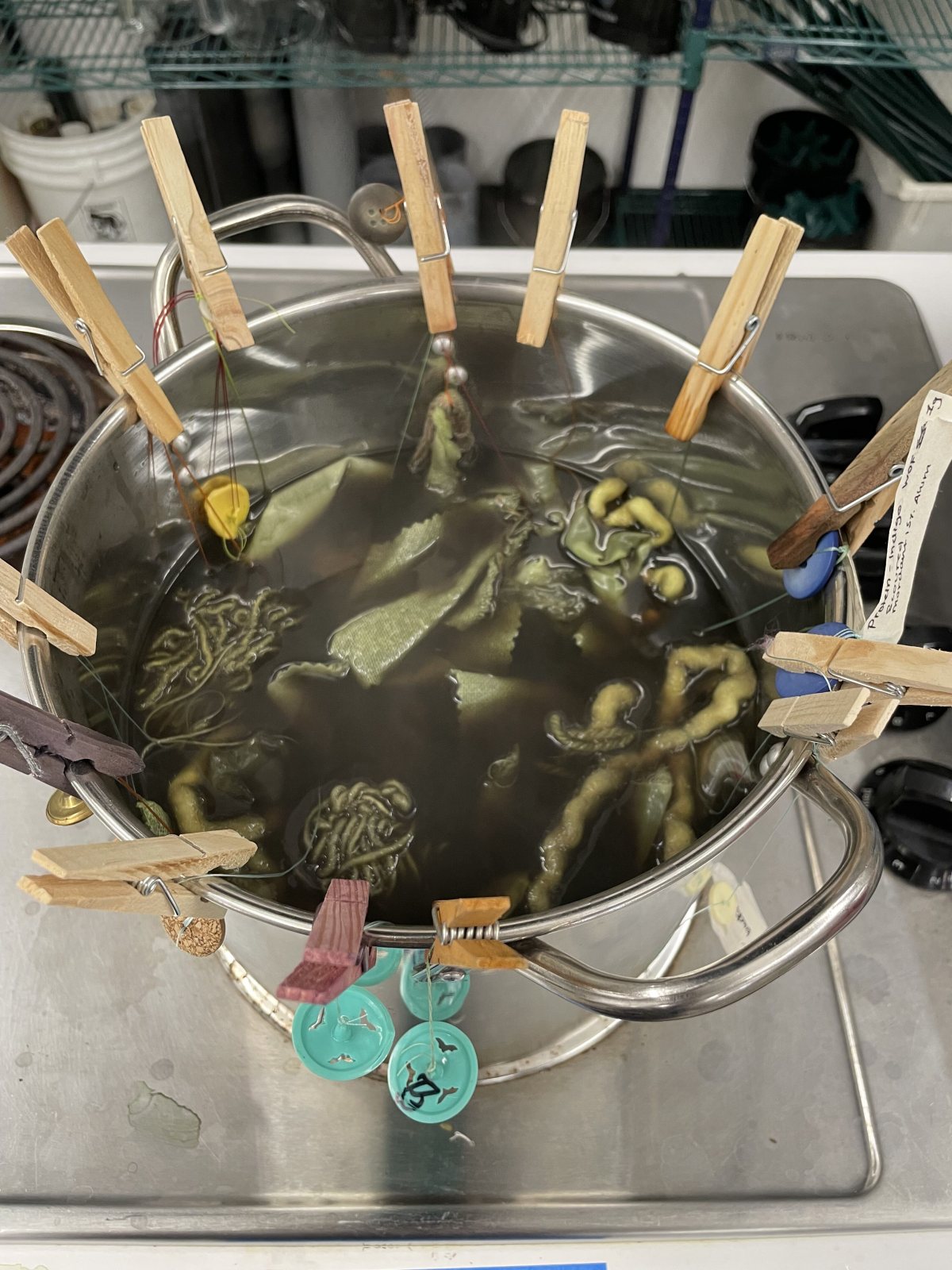 Poster: Phragmites Dye Workshop — Mending the Land
