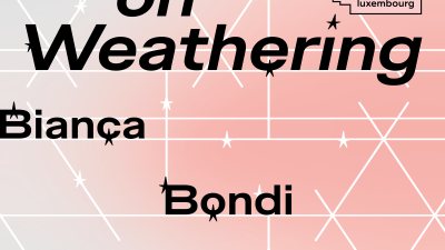 Affiche : Notes on Weathering