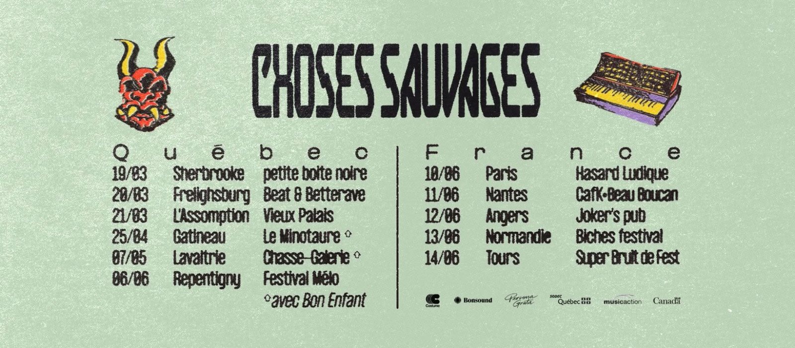 Affiche : Choses Sauvages