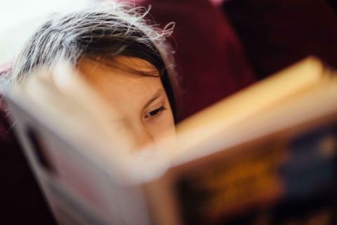 Affiche : Lectures partagées pour les enfants, Muséum de Toulouse, 4 nov.