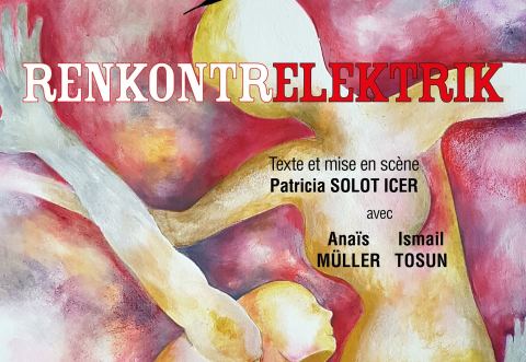 Affiche : Renkontrelektrik, Theo Théâtre, 16 févr.