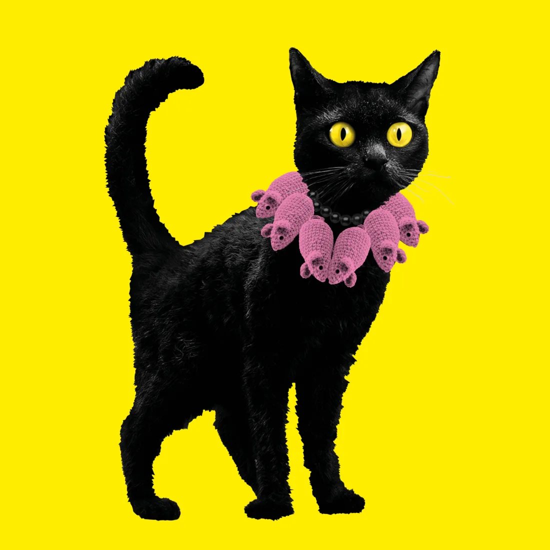 Poster: KATZEN!