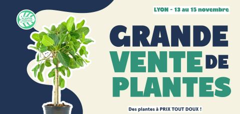 Affiche : Grande Vente de Plantes - Lyon, In-Sted, 13 nov.