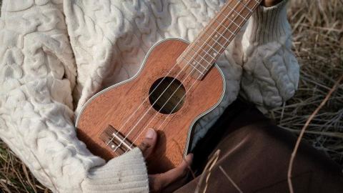 Juliste: Ukulelen alkeet, Ison Omenan kirjasto, 10.9.