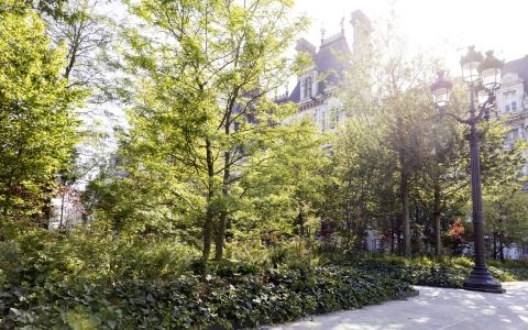 Affiche : Les transformations végétales du Paris historique, Académie du climat, 29 oct.