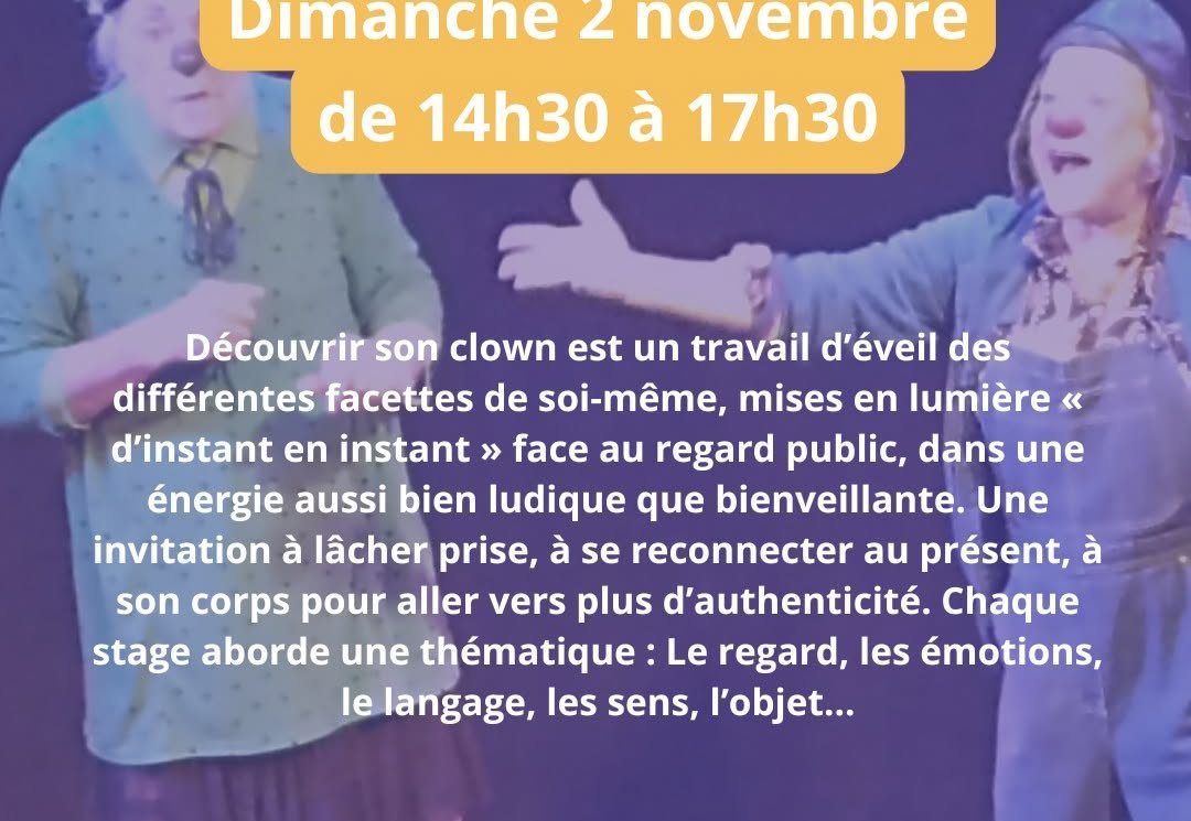 Affiche : Stage de clown