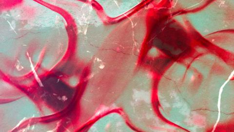 Affiche : MACADAM x CONTINUUM invite LOOPHOLE : Garçon, Carrier, Redluved, Sinesthesia, Aykan, Hanaka, Mahø, Macadam, 30 oct.