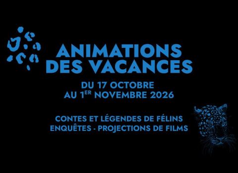 Affiche : Animations des vacances d'octobre, Muséum de Bordeaux - sciences et nature, 24 oct.