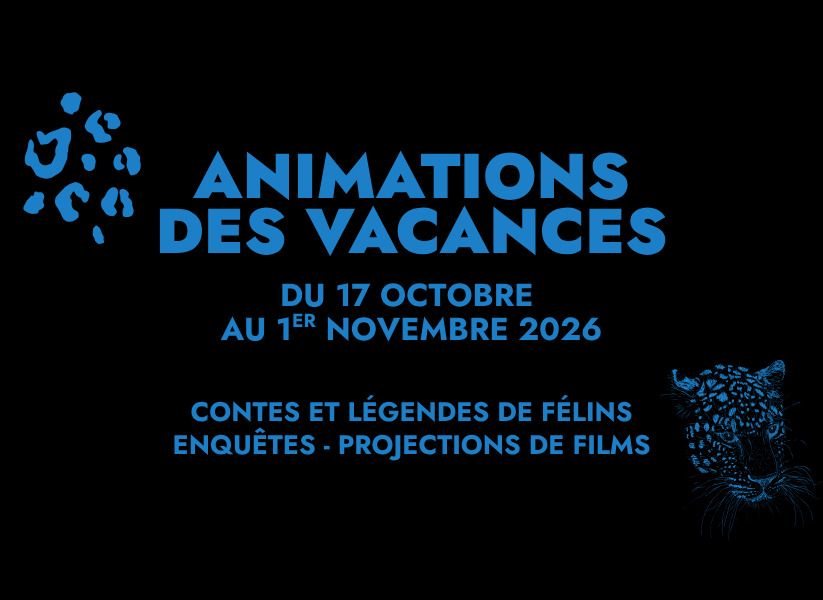 Affiche : Animations des vacances d'octobre
