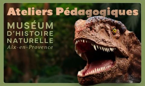 Poster: Programme des ateliers pédagogiquesdu Muséum d’Histoire Naturelle d'Aix-en-Provence - Toussaint 2026, Muséum d'Histoire Naturelle d'Aix-en-Provence, Oct 30