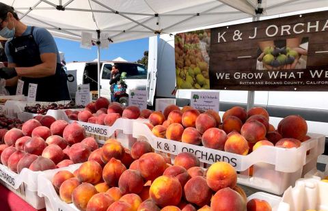 Poster: Fort Mason Center for Arts & Culture Farmers Market, Fort Mason Center for Arts & Culture, Nov 1