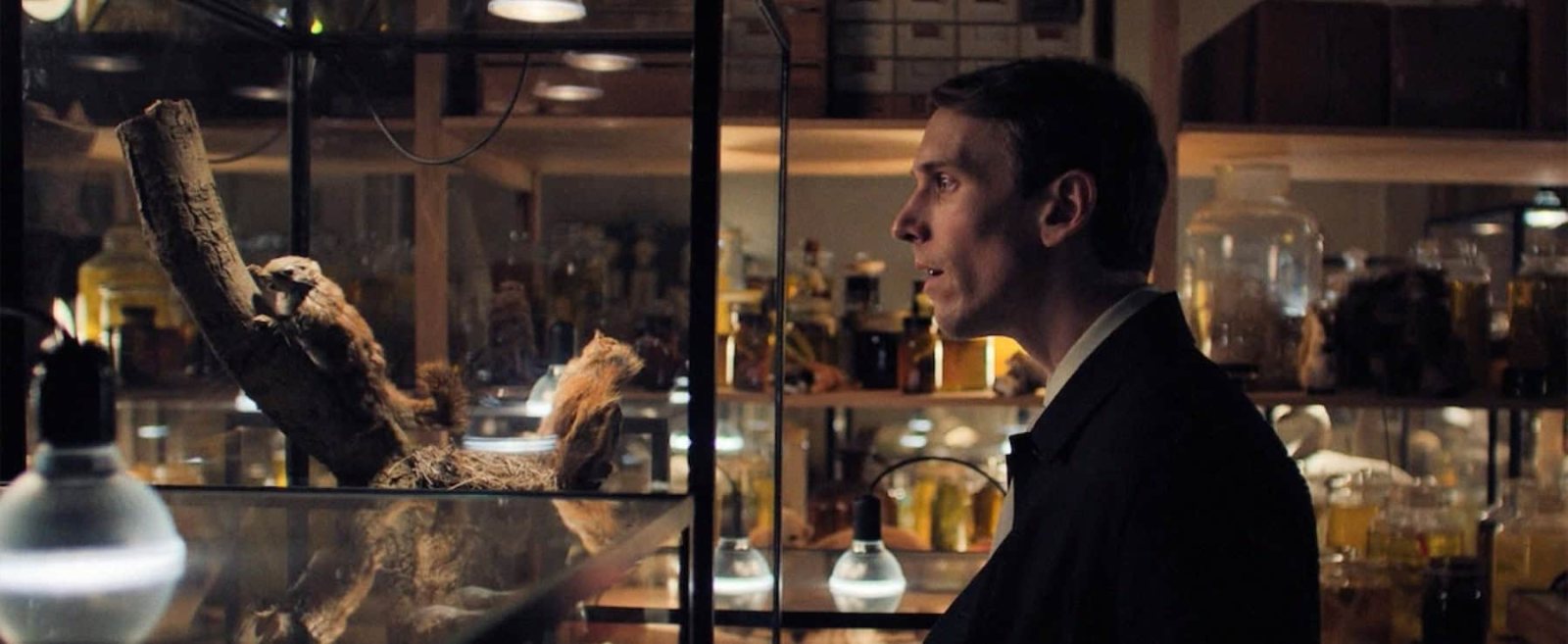 Poster: THE SQUIRREL | SCREENING & DIRECTOR TALK