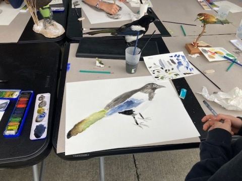 Affiche : Atelier de dessin d'après nature, Muséum de Toulouse, 4 nov.