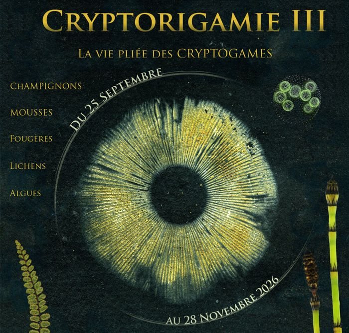 Poster: CryptORIgamie 3