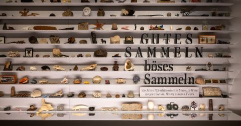Plakat: Gutes Sammeln – Böses Sammeln. 150 Jahre Naturhistorisches Museum Wien, Naturhistorisches Museum Wien, 29. Apr.