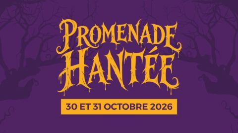 Poster: Cinéma en plein air : vivez Halloween à Promenade !, Promenade Sainte Catherine, Oct 30
