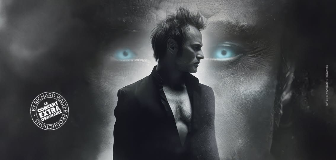 Affiche : David Hallyday • Espace Mayenne • Laval