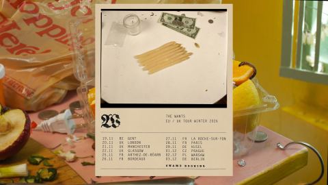 Poster: The Wants, The Social, Nov 20
