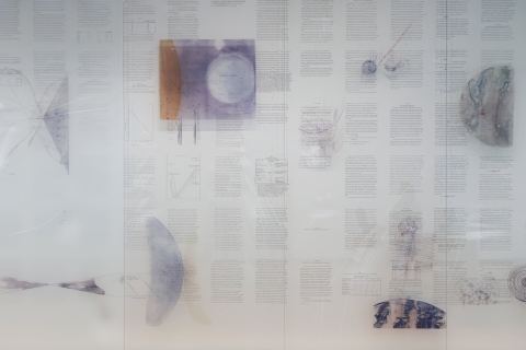 Poster: Wall Drawing Series: Jitish Kallat, The Menil Collection, Sep 10