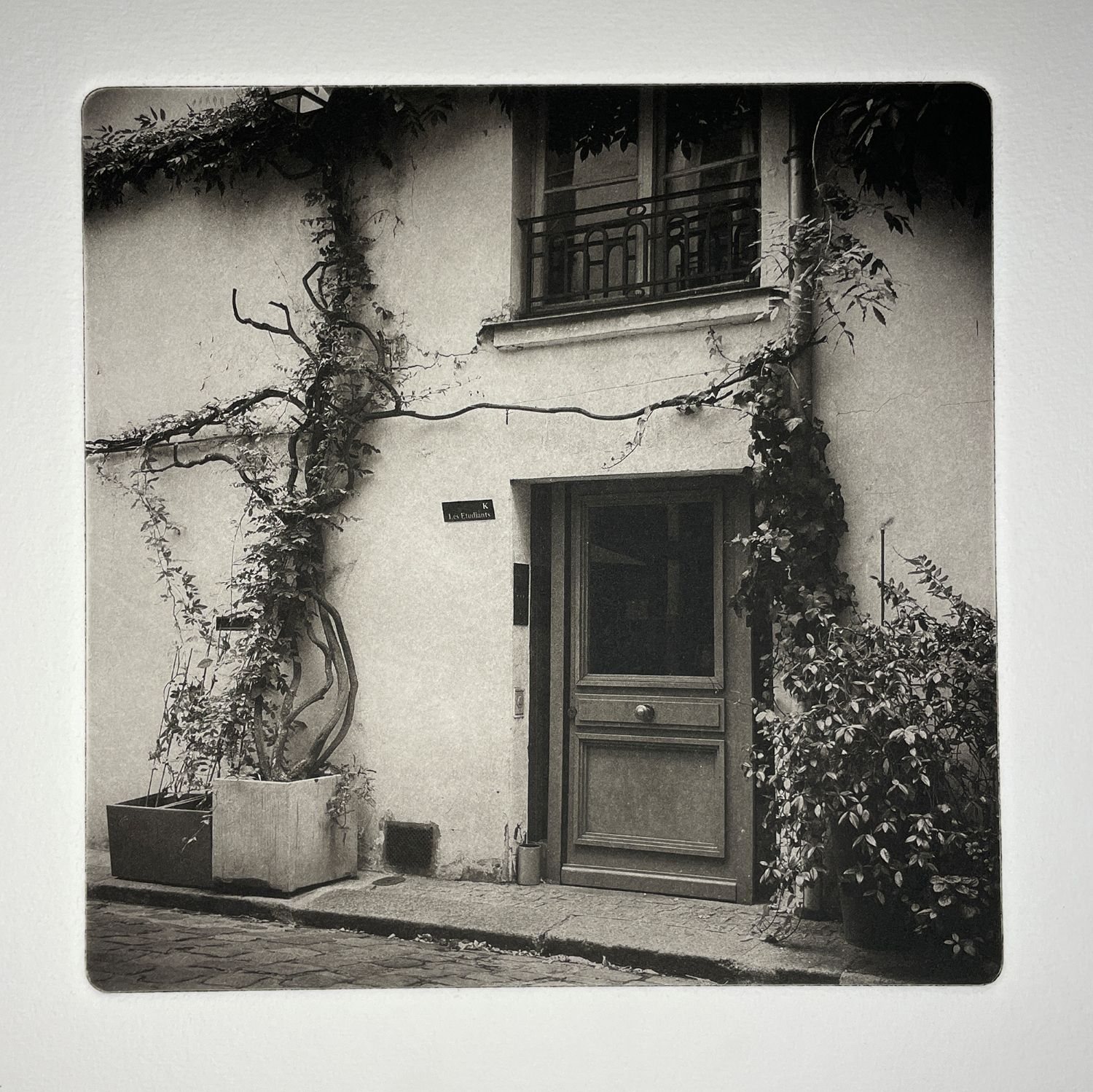 Poster: WORKSHOP—Working with Polymer Plate Photogravure