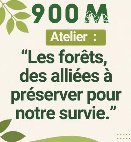 Poster: Les forets des alliées à préserver pour notre survie, Le Nautilus, Nov 4