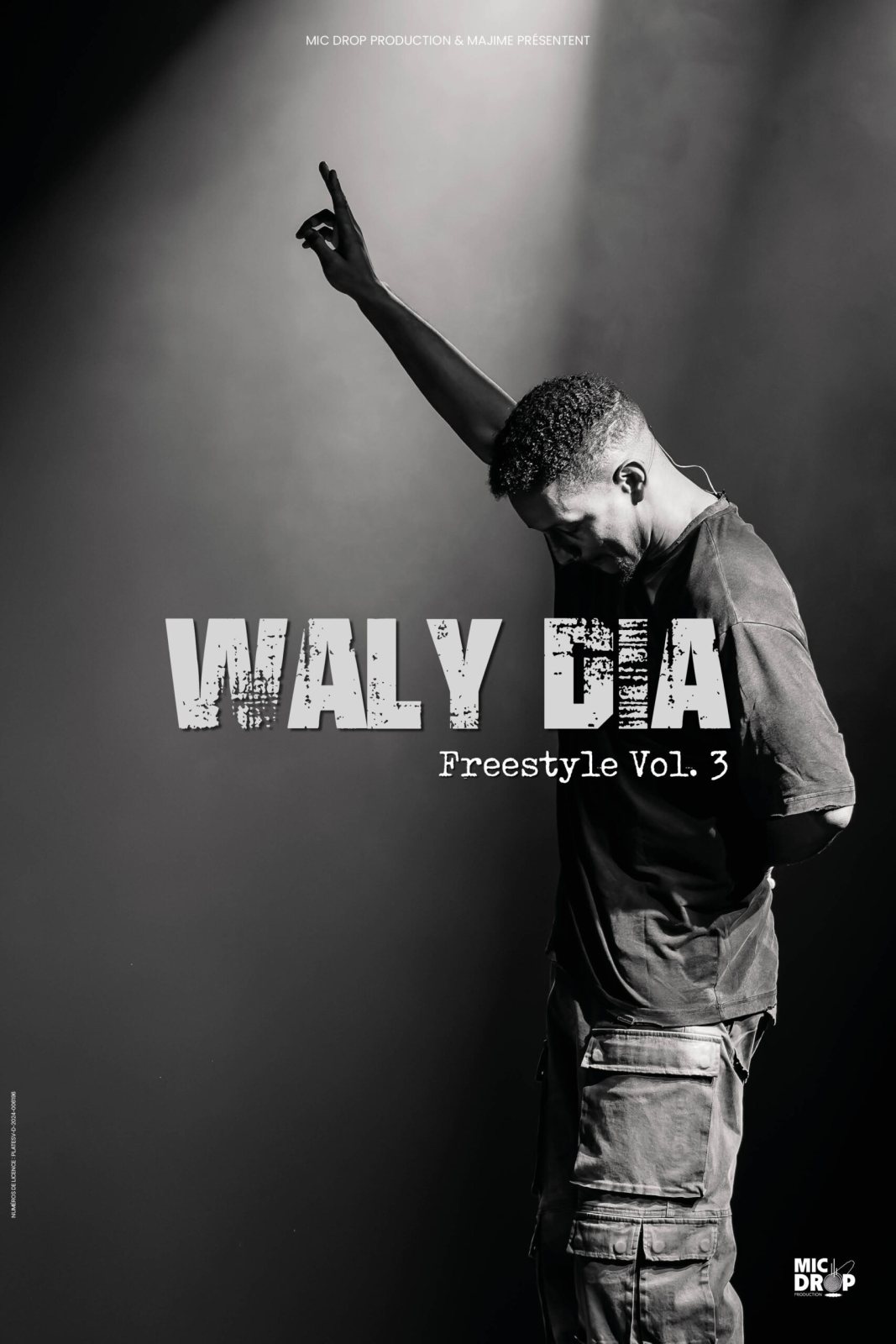 Affiche : Waly Dia, Freestyle