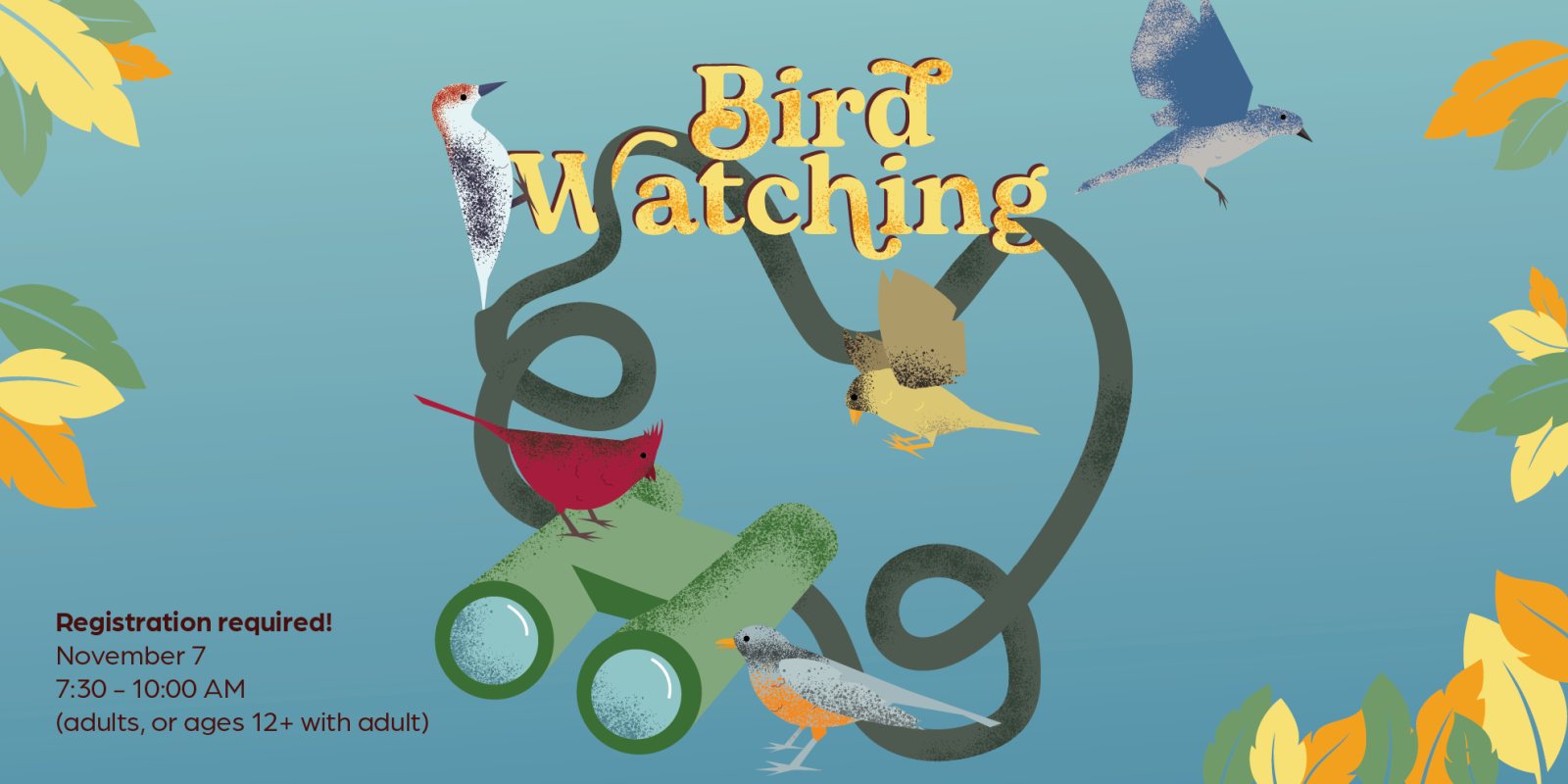 Poster: Bird Watching