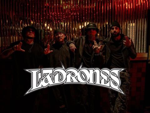 Cartel: Ladrones, Trees, 13 nov