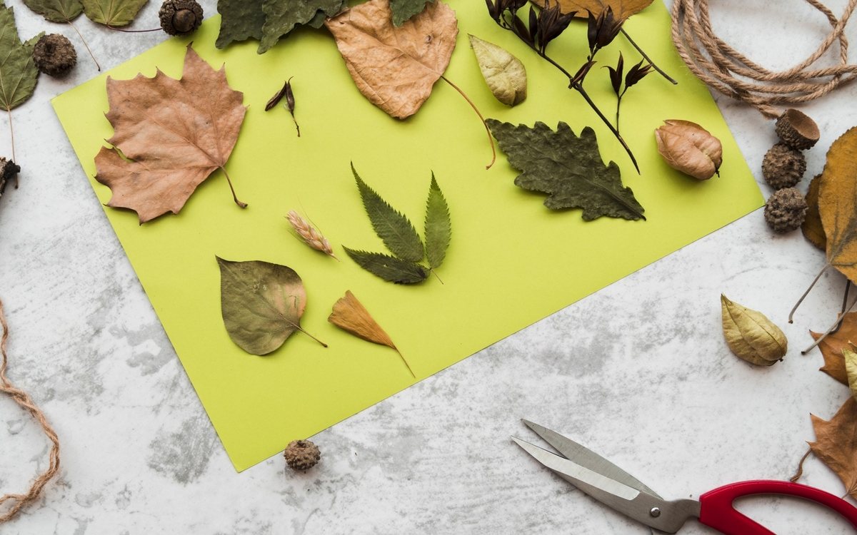 Poster: Ateliers créatifs nature