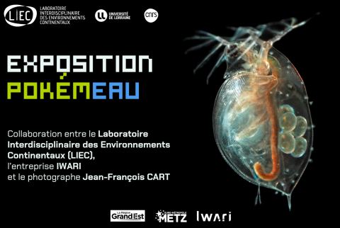 Affiche : Exposition PokémEAU, Serres du Jardin Botanique, 16 sept.