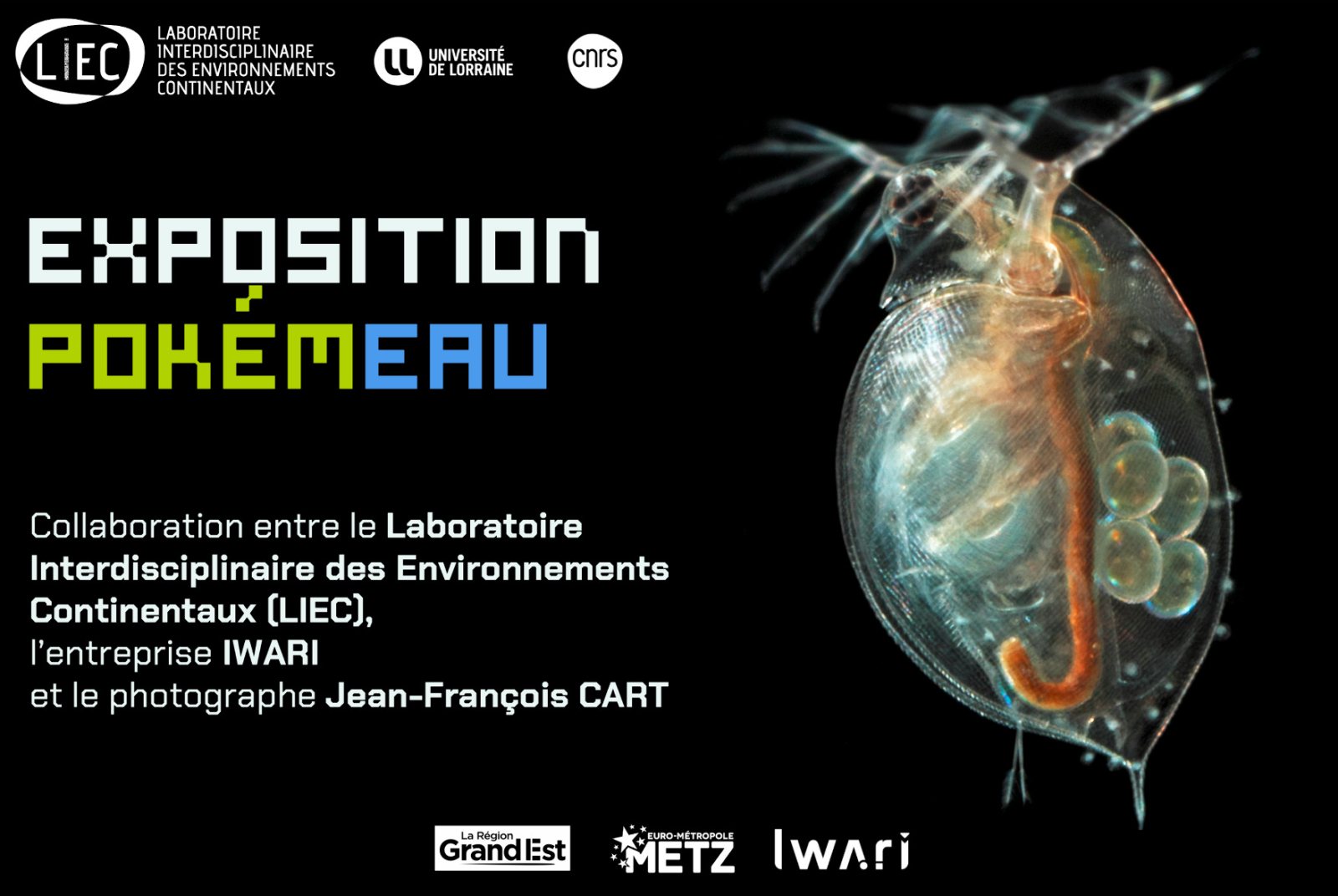 Affiche : Exposition PokémEAU