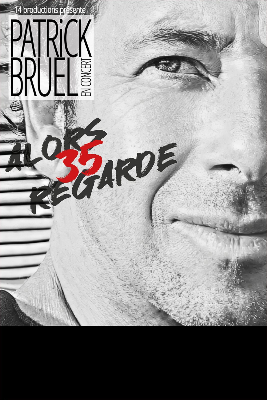 Affiche : Patrick BRUEL