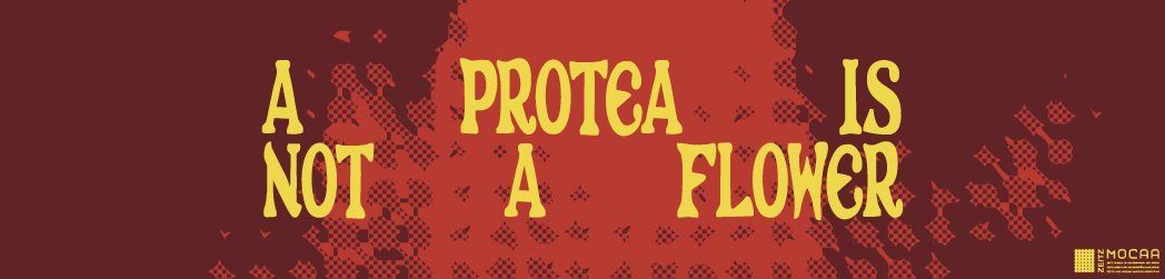 Poster: A Protea Is Not a Flower