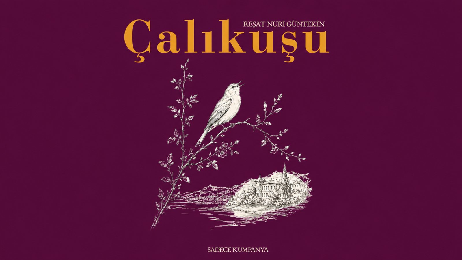 Afiş: Çalıkuşu