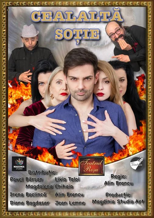 Poster: Cealaltă soție