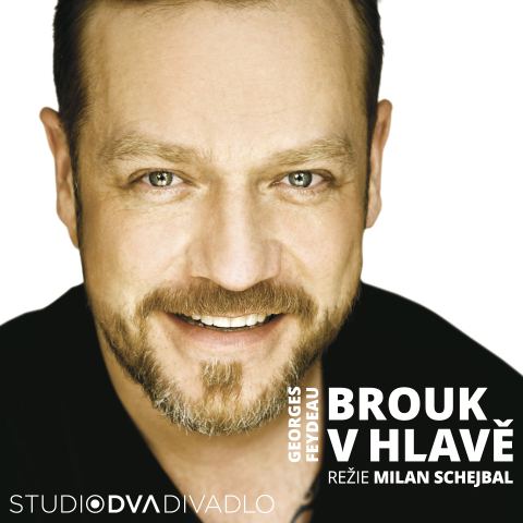 Plakát: Brouk v hlavě, Studio Dva, 28. 10.
