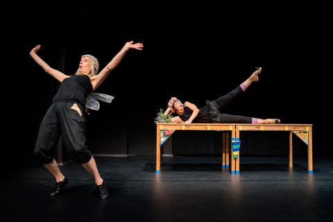 Plakat: Wo ist Feenland?, Theaterhaus, 13. Nov.