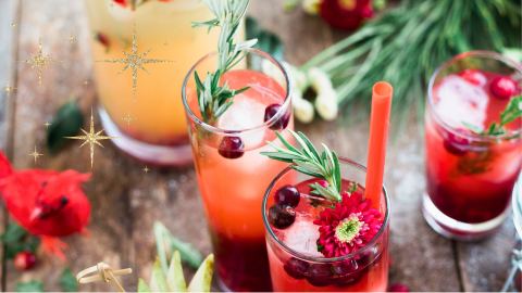 Poster: Making Holiday Mocktails, Santa Fe Botanical Garden, Nov 20