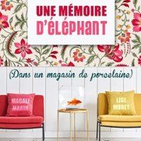 Affiche : Une Mémoire d'Eléphant dans Un Magasin de Porcelaine, La comédie de Rennes, 30 oct.
