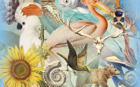 Affiche : Expo « Artistes au Museum », Muséum national d'histoire naturelle – Jardin des Plantes, 23 sept.