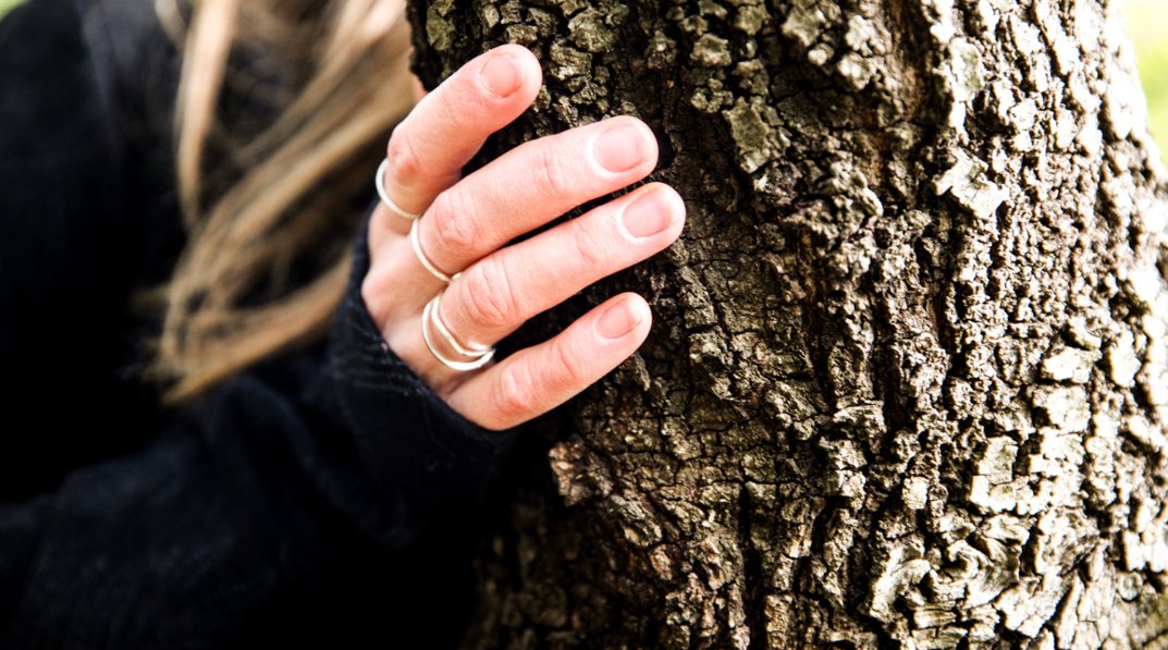 Poster: Forest bathing with Kim Lazarus