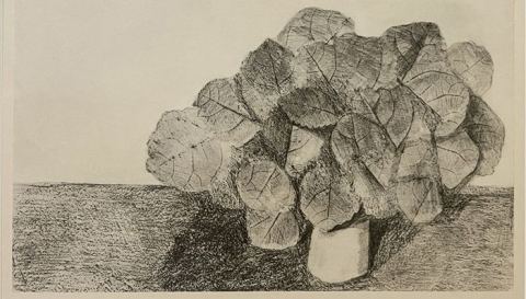 Affiche : Curiosité naturelle (5/7 ans), Musée d'arts de Nantes, 29 oct.
