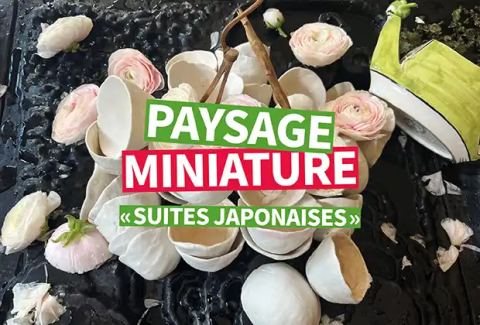 Poster: Paysage miniature « Suites japonaises », Maison Internationale de Grenoble, Nov 4
