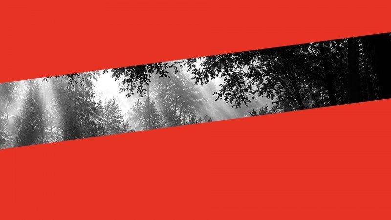 Αφίσα: Ρομπέν, η καρδιά του δάσους