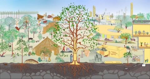 Poster: dRMM: Building from Forests, V&A South Kensington, Nov 25
